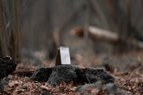 Modern smartphones on tree stump in forest