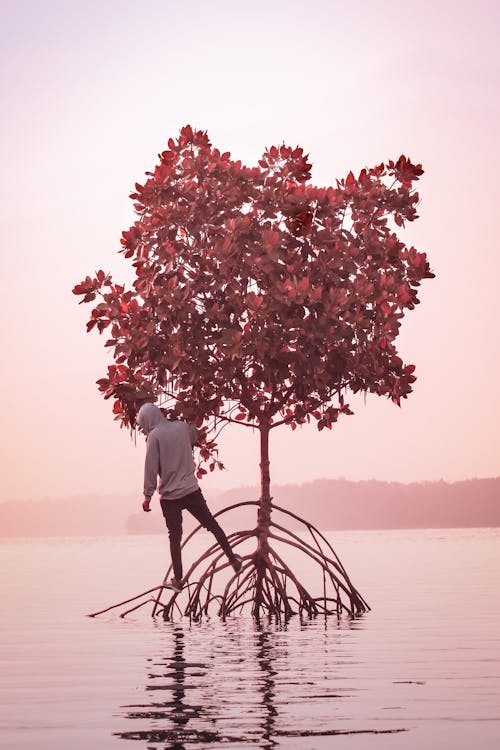 A Man Standing near the Tree