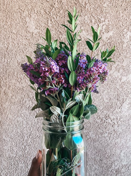 Free Flowers in the Clear Glass Jar Stock Photo
