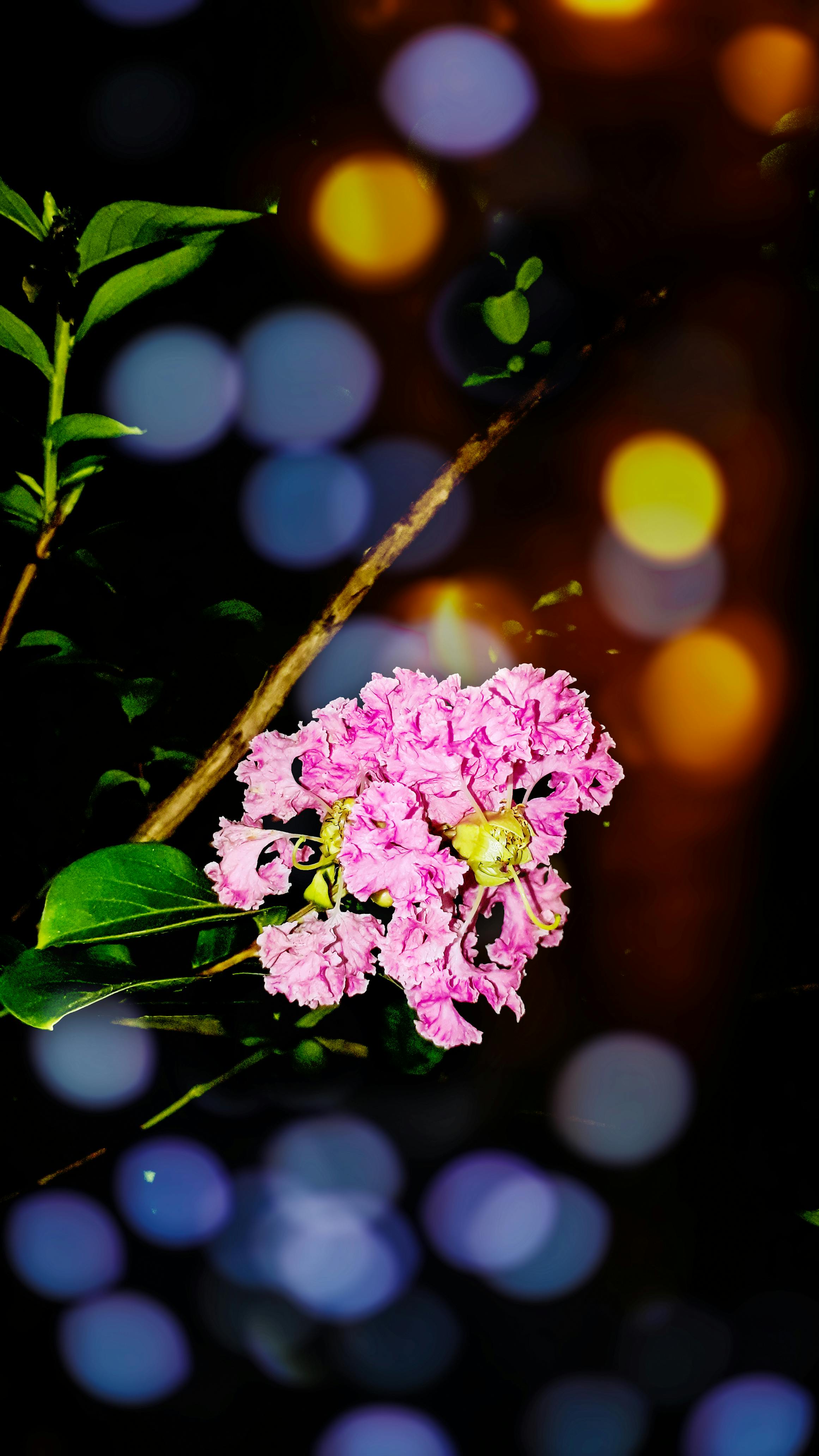 Küçük Ev Aletleri