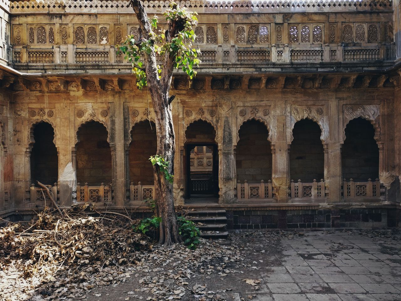 a beautifully carved ancient building with arches and a tree growing a