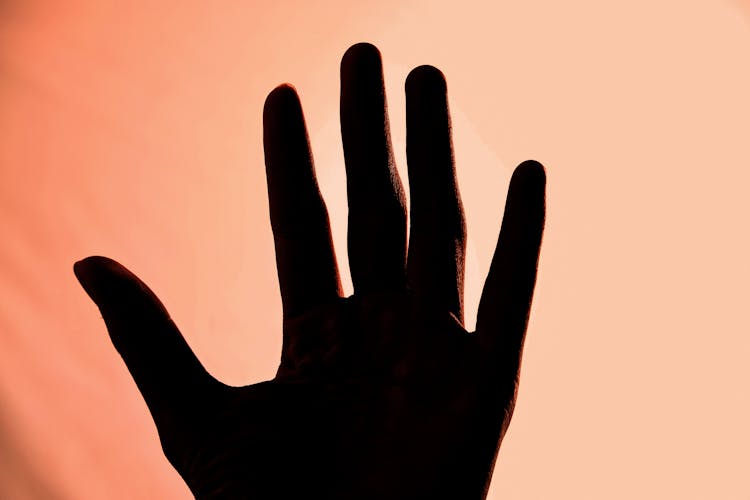 Silhouette Of Left Human Hand