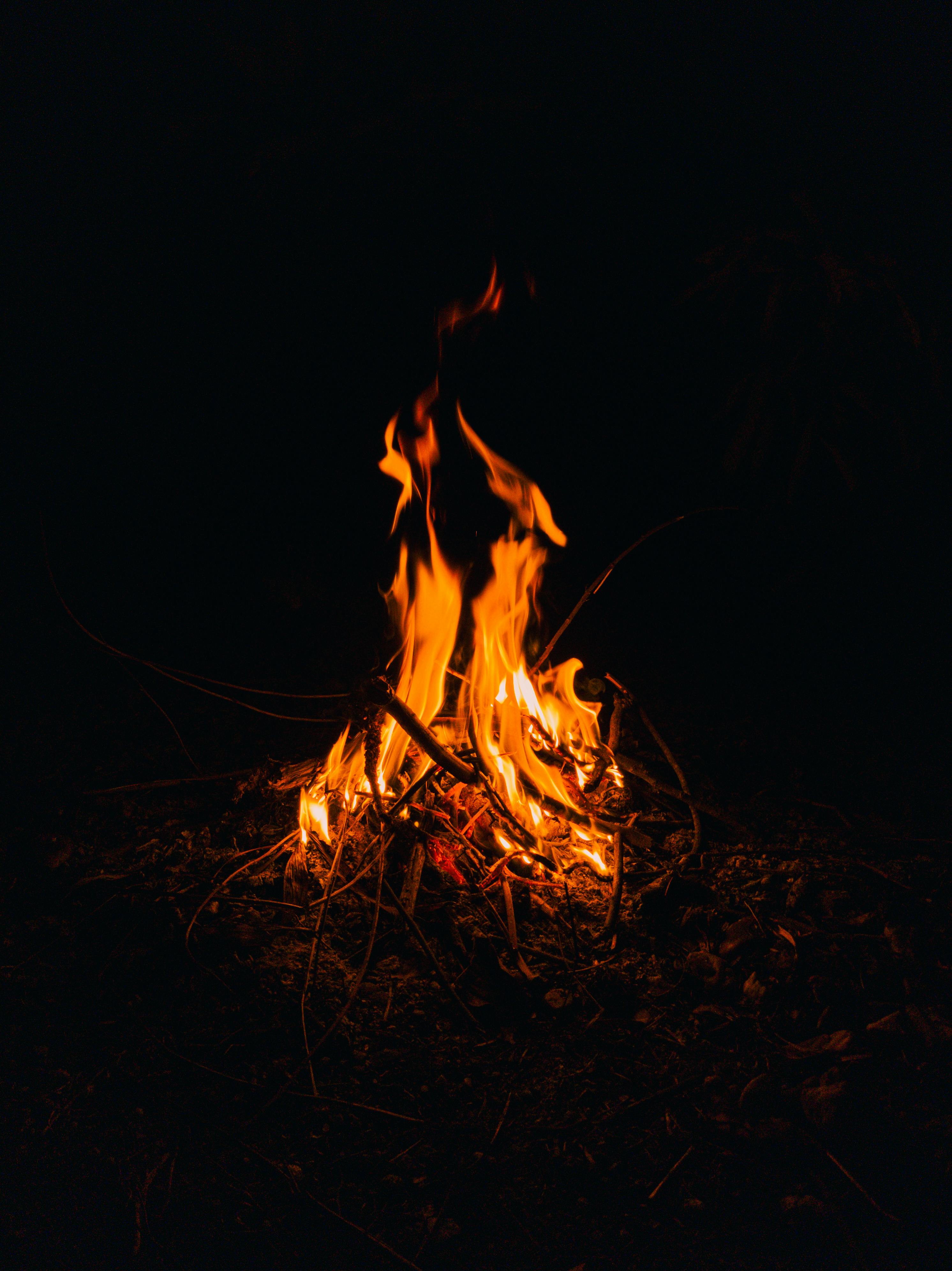 A Campfire In The Dark · Free Stock Photo