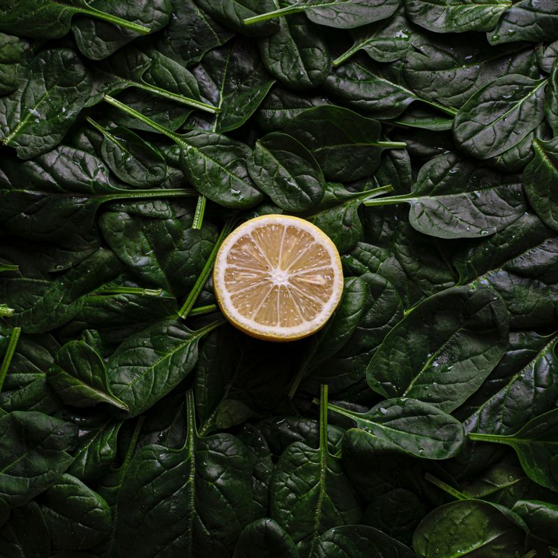 Lemon Herb Orzo Salad with Spinach