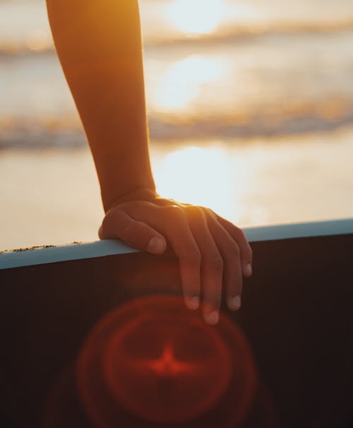 Základová fotografie zdarma na téma detail, paddle board, pláž