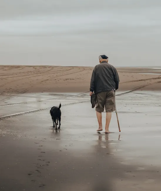 longevity supplements for senior dogs