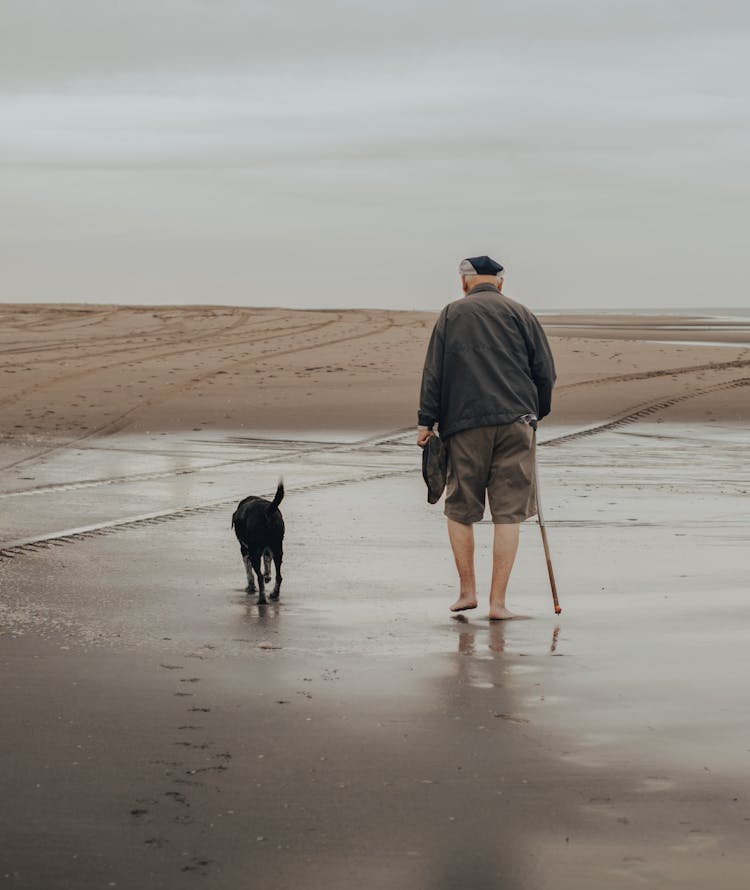 An Elderly Man Walking On Wet Shore With A Dog