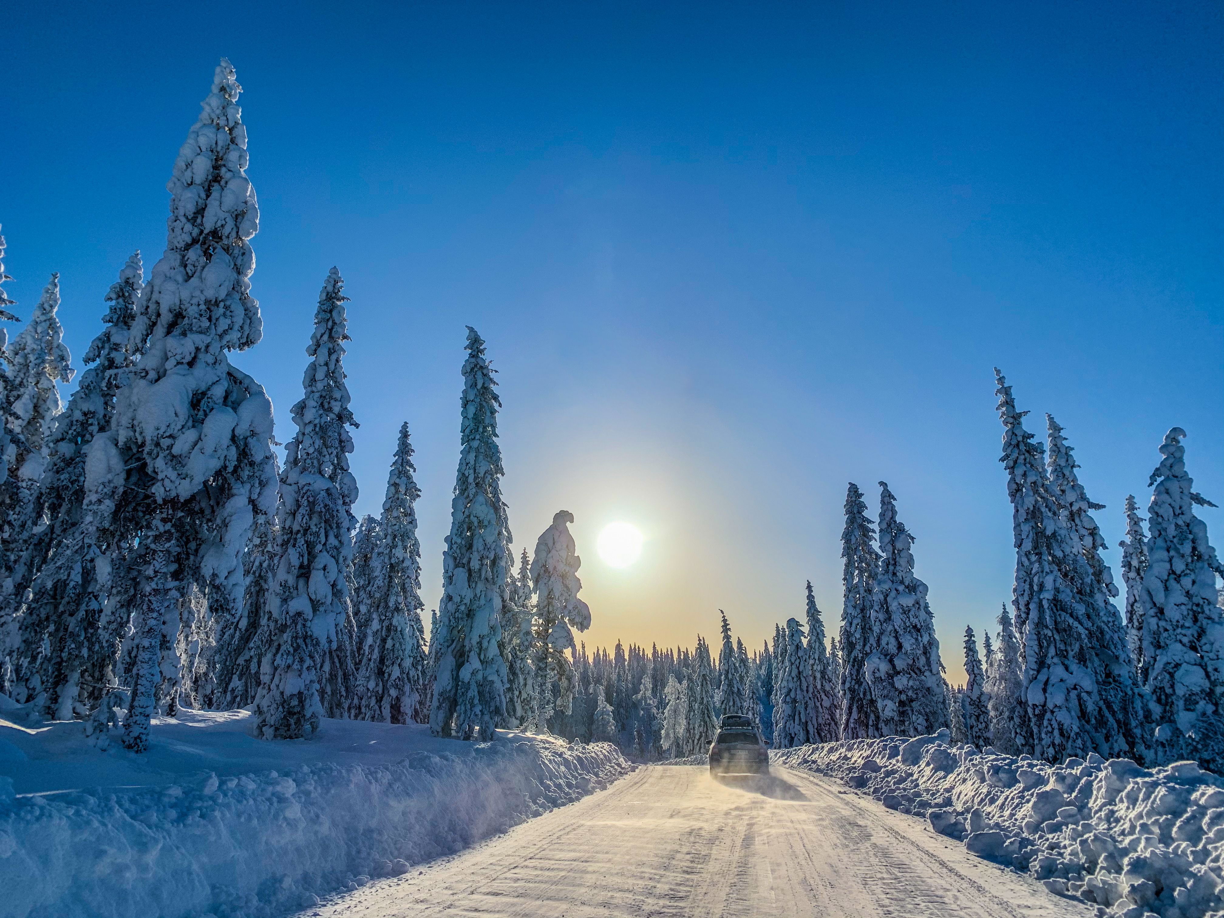 A car on a snow-covered forest road between heavily snow-laden spruce