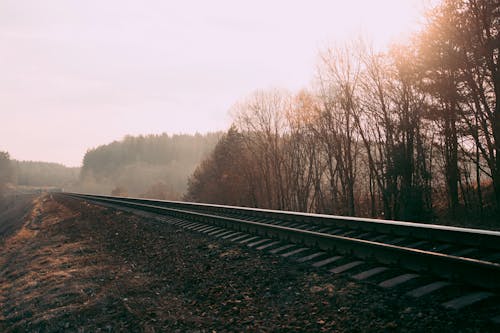Free Train Rails Photography Stock Photo