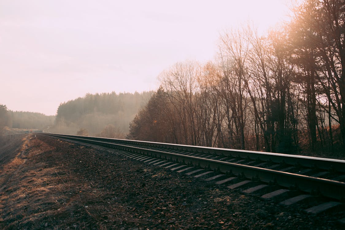 Fotografia Di Rotaie Del Treno