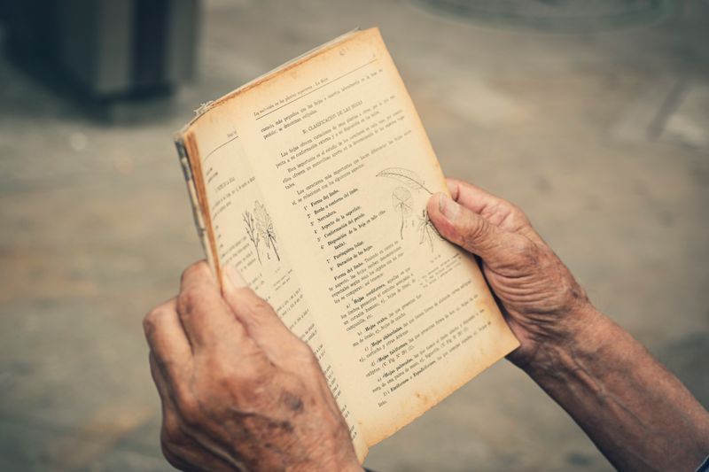 A close-up of elderly hands holding and reading a vintage book outdoors.