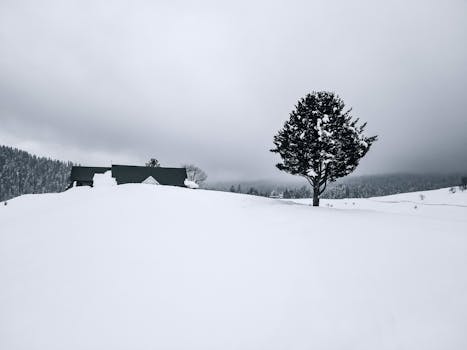 A serene winter scene in Srinagar showcasing a lone tree and snow-covered house under a cloudy sky.