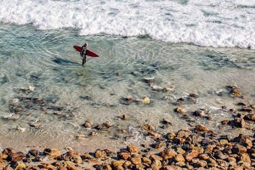免费 白天在棕色石头附近的清澈水中举行红色冲浪板的人 素材图片