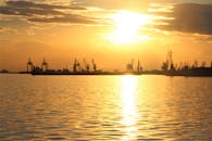 A Silhouette of Cranes during a Sunset