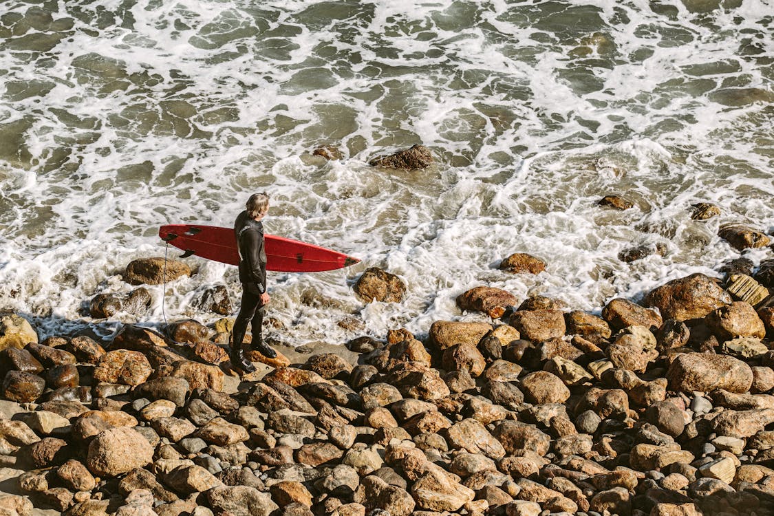 免费 男人穿着潜水衣和岸上举行红色冲浪板 素材图片