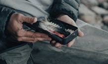 Person Holding Black and Orange Bird