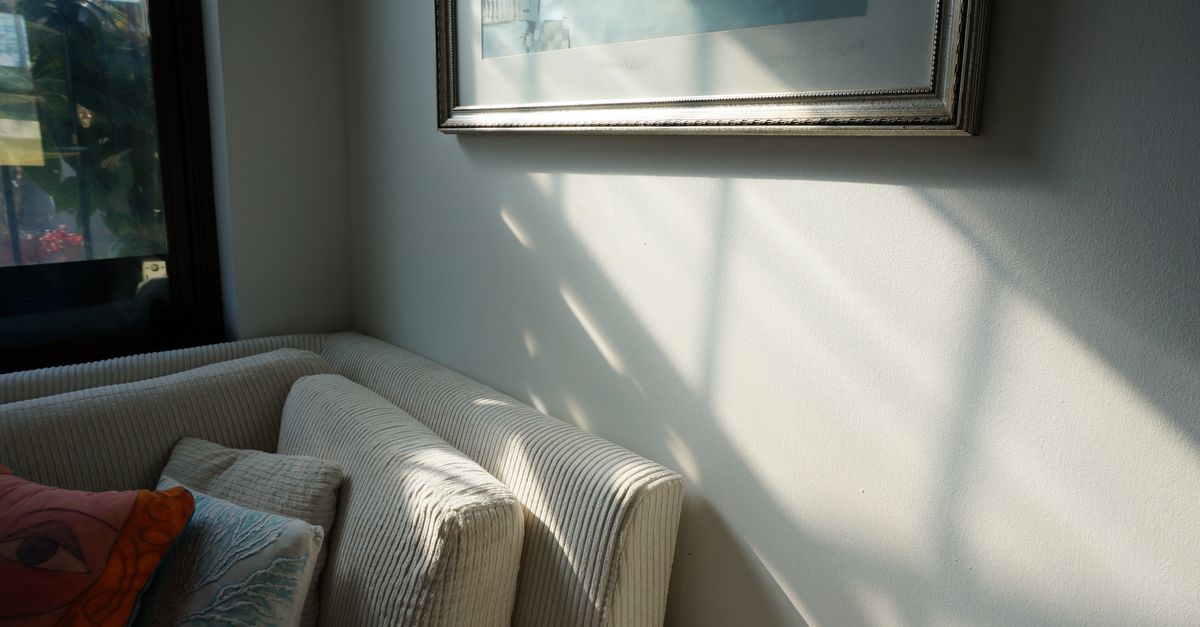 A minimalist, serene living room with natural light, one perfect art piece, and a single high-quality throw blanket