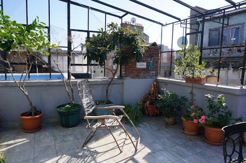 Free  Potted Plants on the Roof Terrace Stock Photo