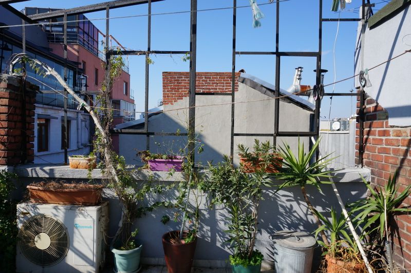 Green Roofs (Living Roofs): A Complete Installation and Cost Guide