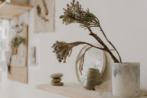 Flowers in Vase in a Living Room 