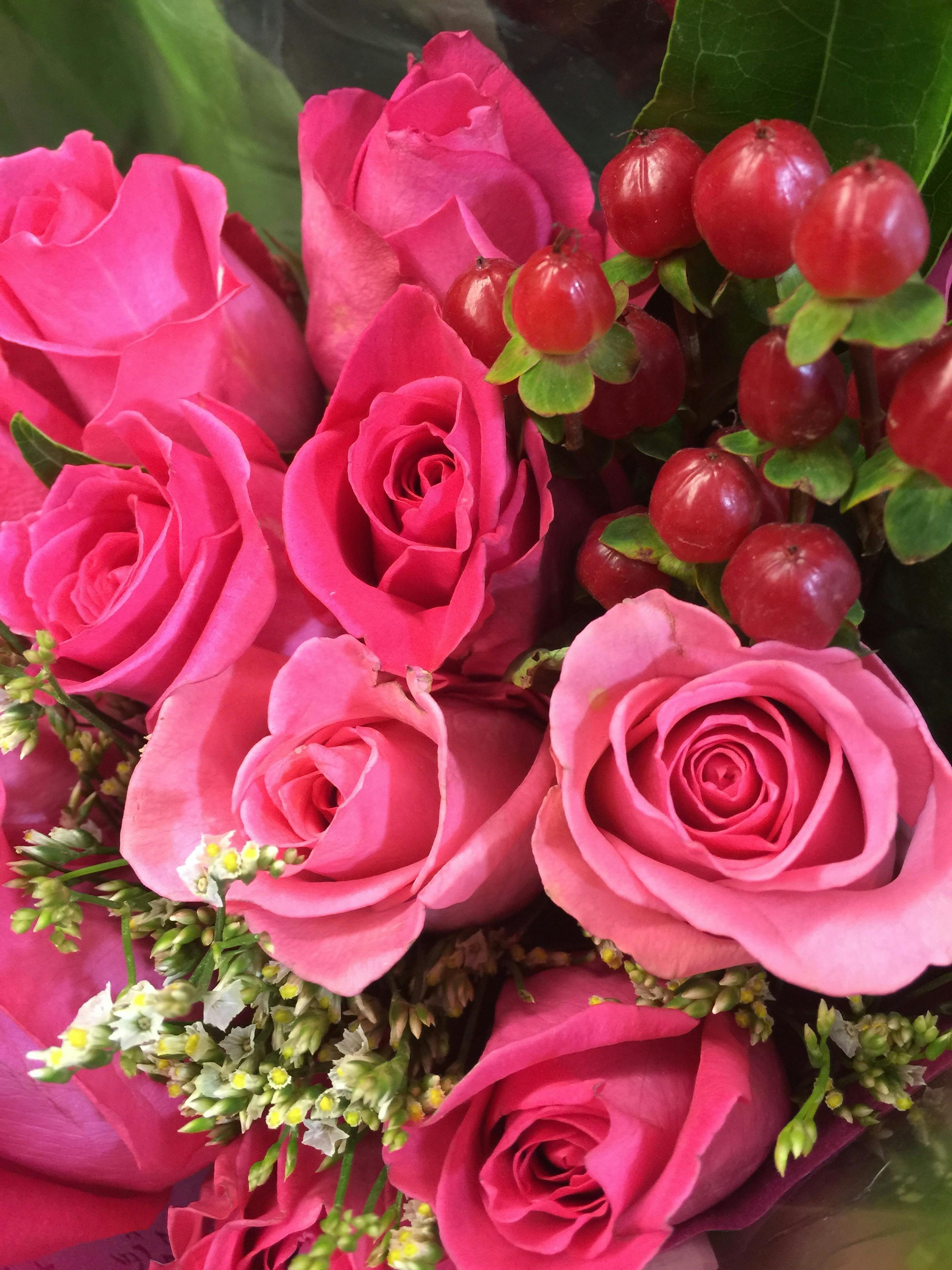 Pink Flowers and Green Leaves · Free Stock Photo