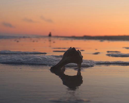 Free stock photo of atlantic ocean, beach, ocean