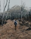 Backpacker standing on Dried Grass