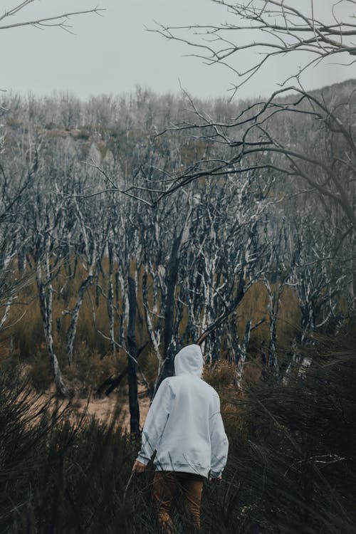 Person in White Hoodie Standing near Bare Trees