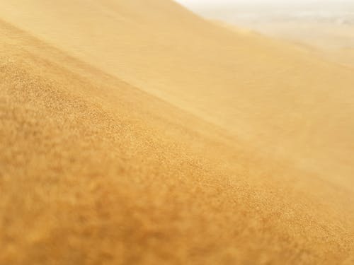 Dry sand dune in desert terrain