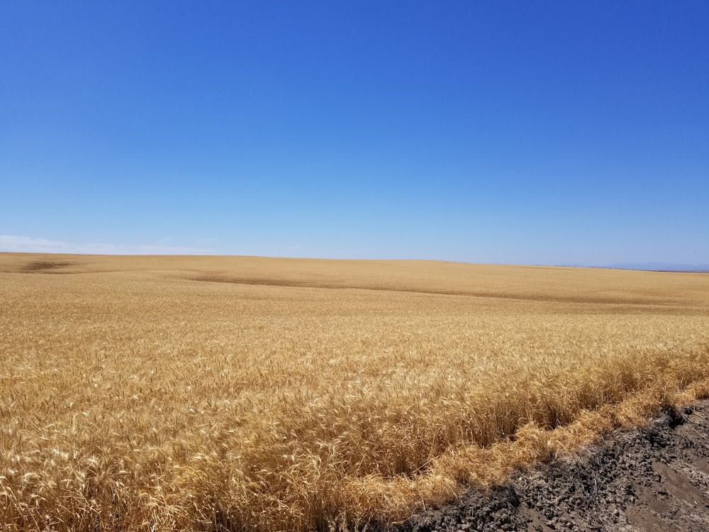 Бесплатное стоковое фото с за городом, зерна, пахотная земля