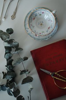 From above of ceramic cup with saucer on table near red book with scissors near plant with green leaves in light room — photo by Gül Işık