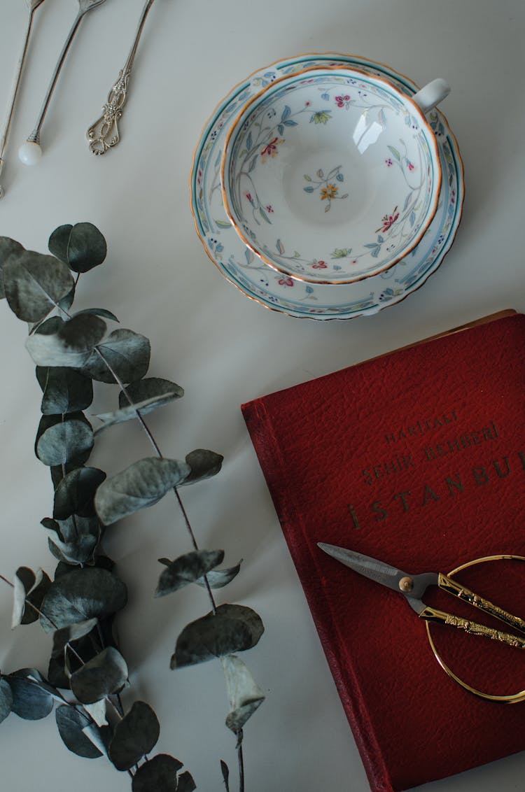 Table With Cup Near Scissors On Book Near Plant