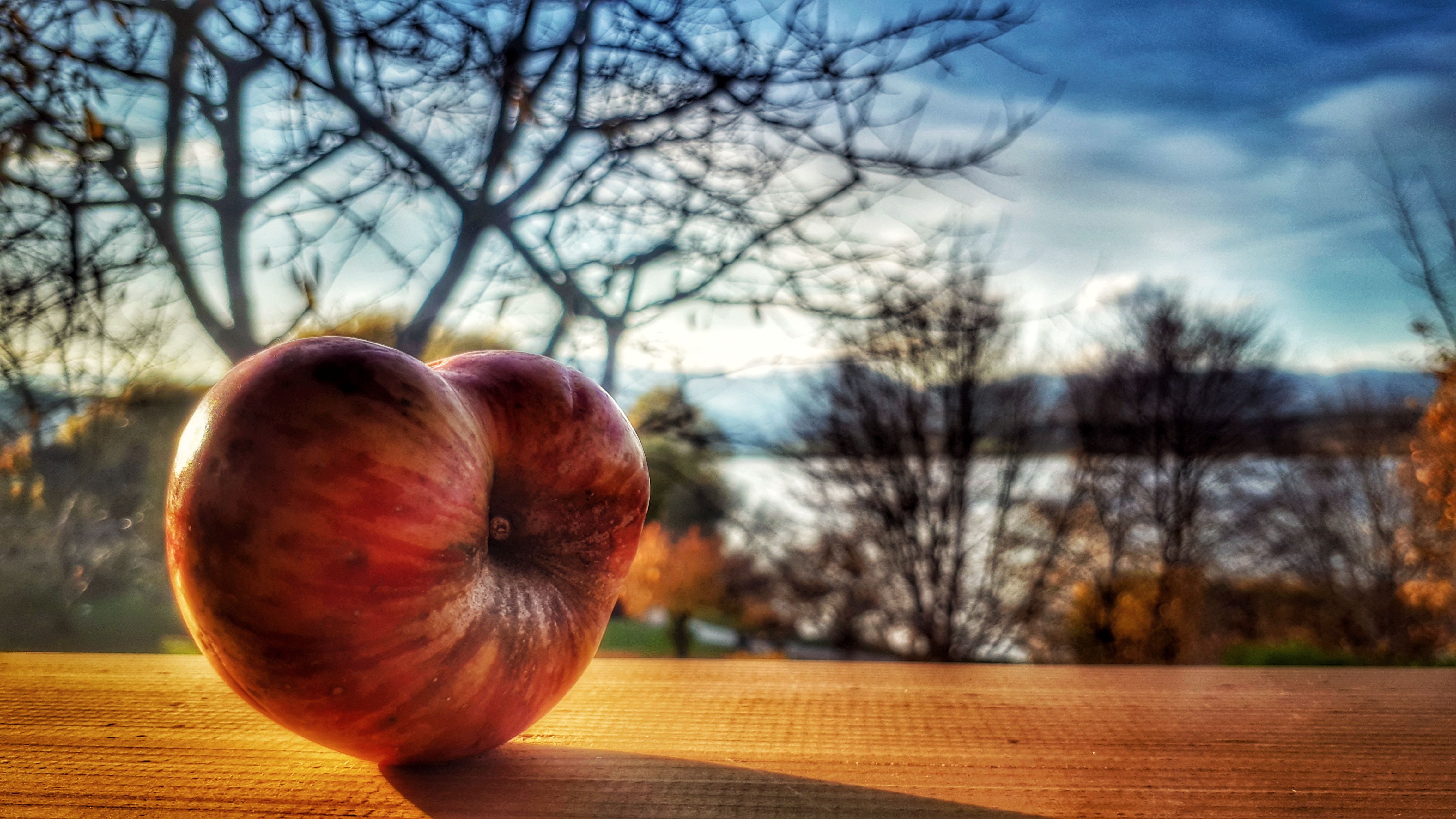 bare apple fruit