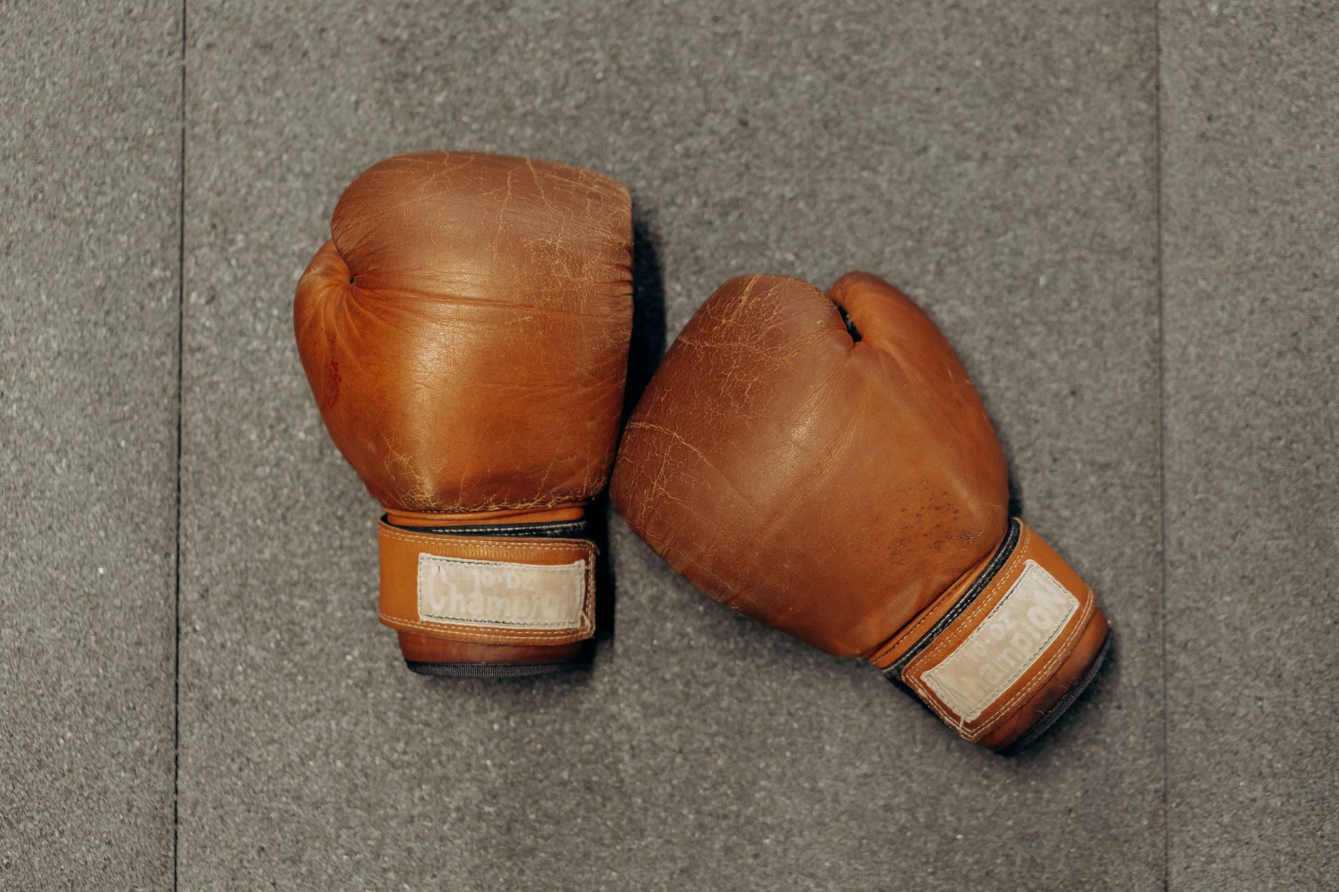 5 Best Boxing Gloves Under $60 (2026)