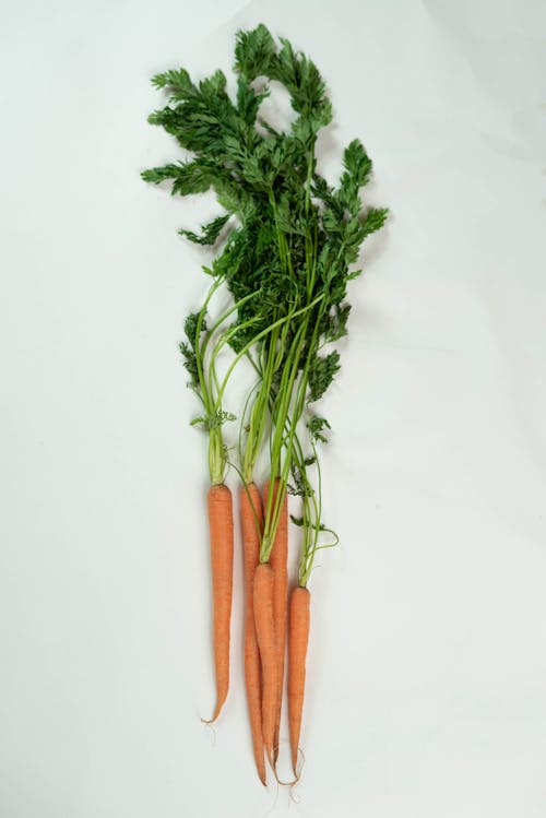 Free Bunch of carrots on white table Stock Photo