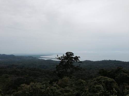 Ingyenes stockfotó costa rica, csendes-óceán, óceán témában