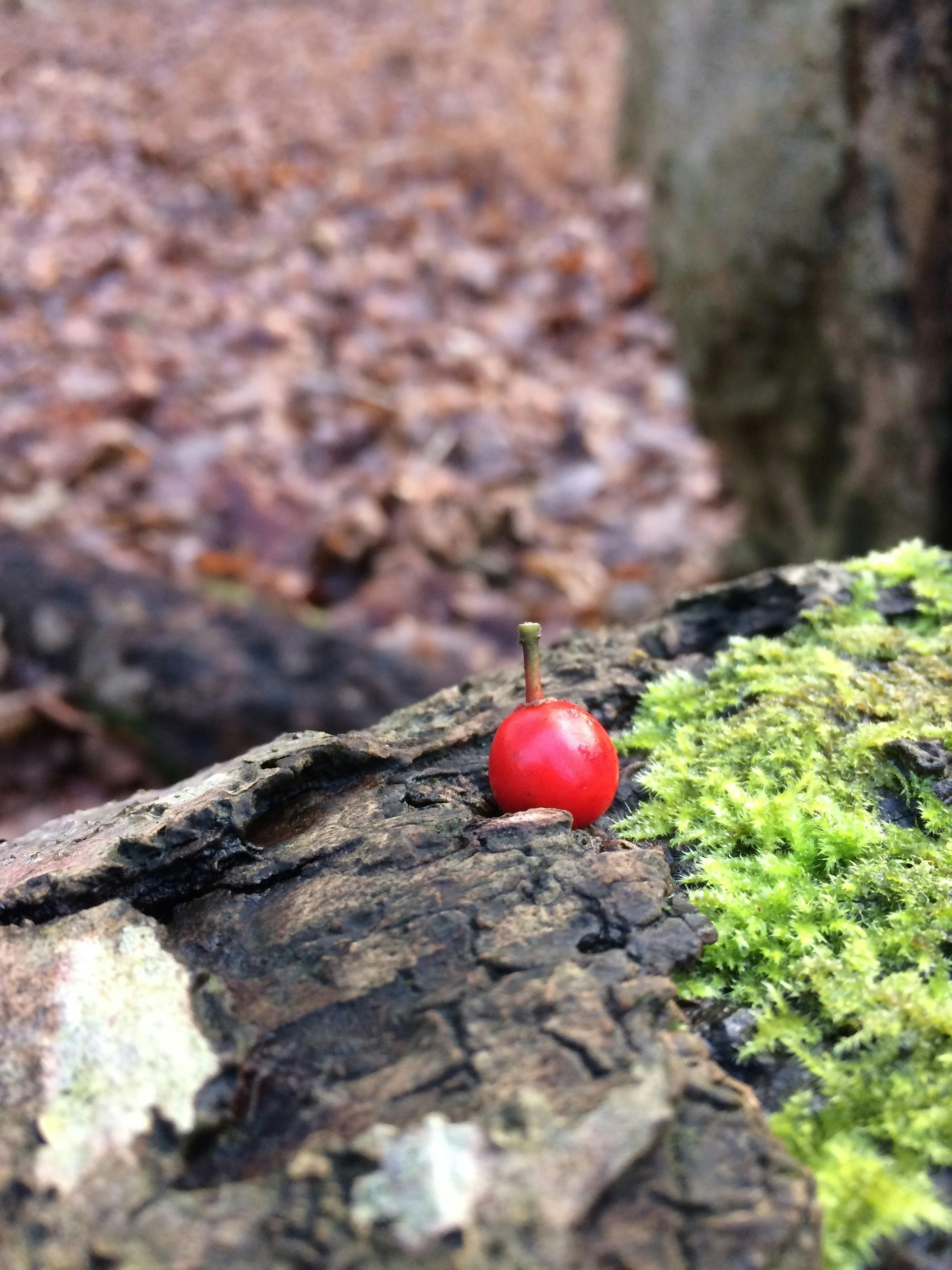 바닥에 누워 팔다리를 들어 올린 데드 버그 운동 자세