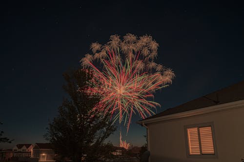 Fireworks Display during Night Time