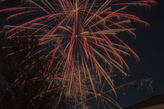 Vibrant fireworks light up the night sky in a dazzling celebration.