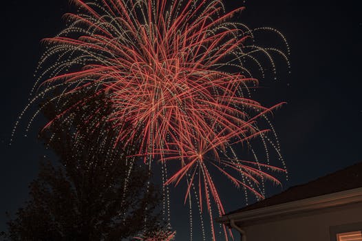 Stunning display of red fireworks lighting up the night sky above a silhouetted tree.