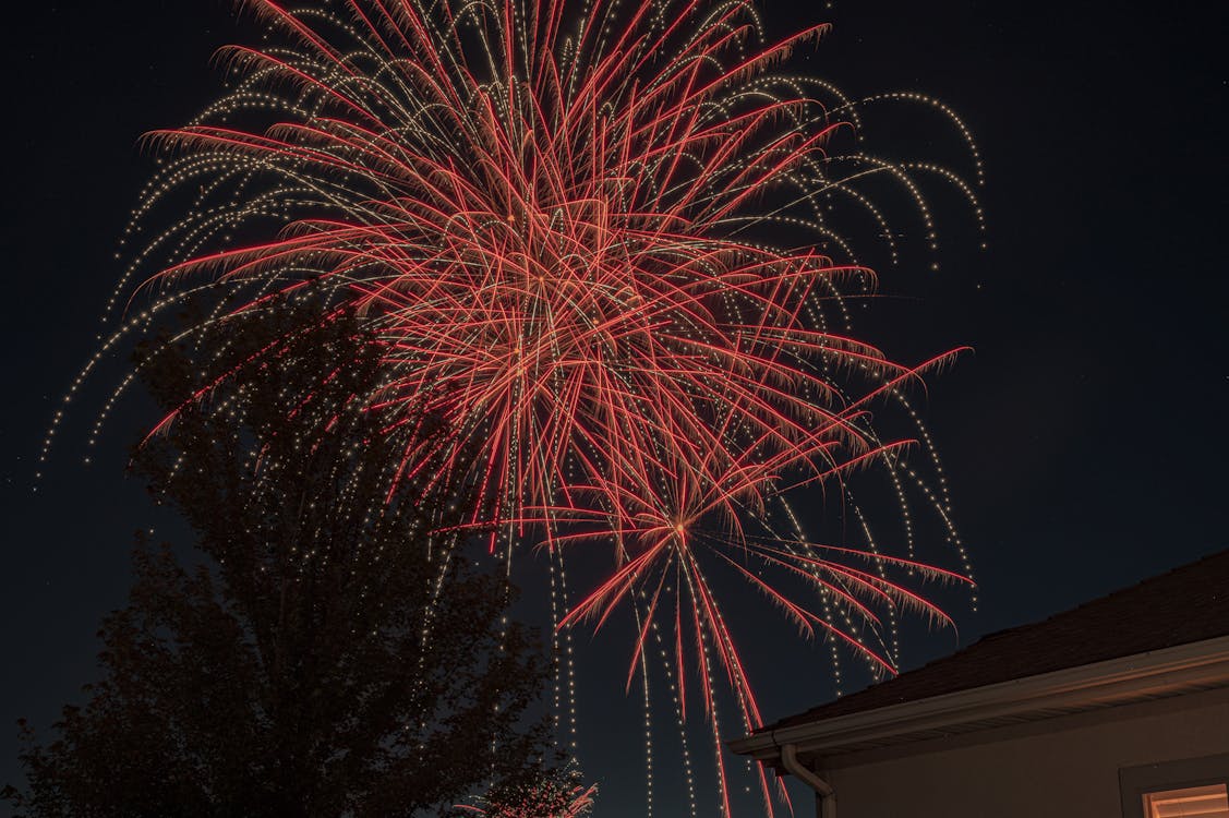 Red and Gold Fireworks Display during Night Time