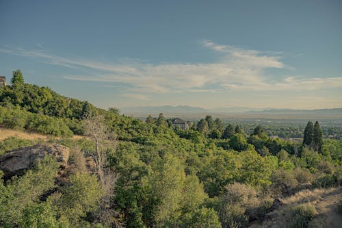 Green Trees on Mountain Under Blue Sky