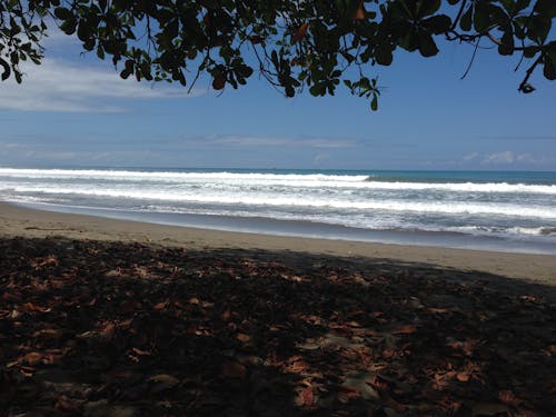 Ingyenes stockfotó costa rica, csendes-óceán, óceán témában