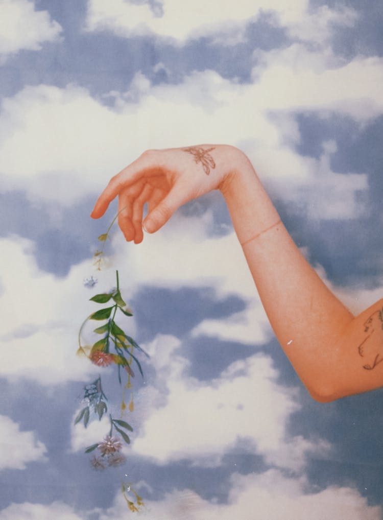 Hand Of A Person Dropping Flowers