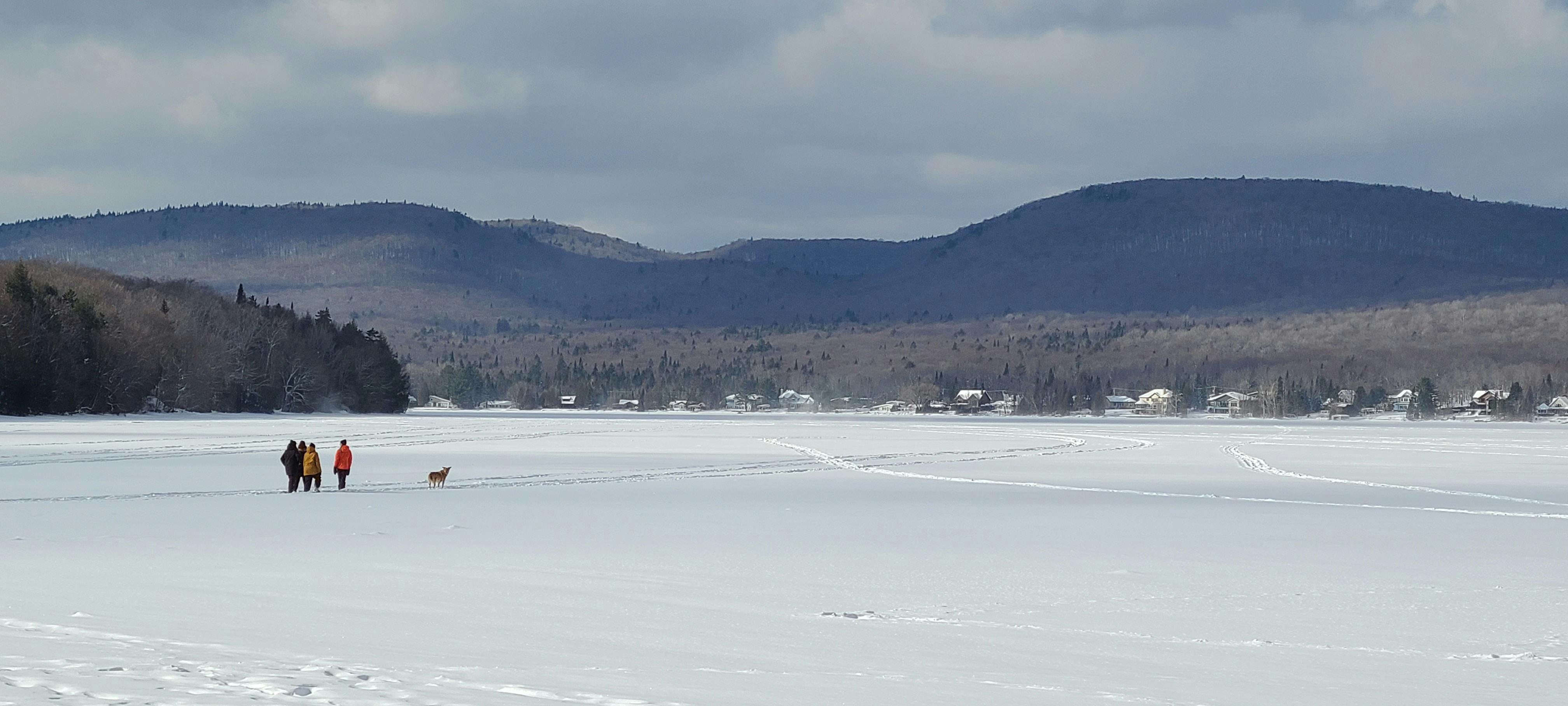 Free stock photo of canada, quebec, snow