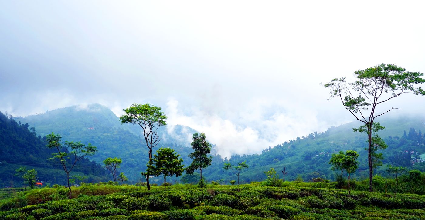 Misty green mountains and valley beneath a wide open sky