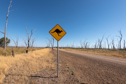 Free Road Sign Along an Empty Road  Stock Photo