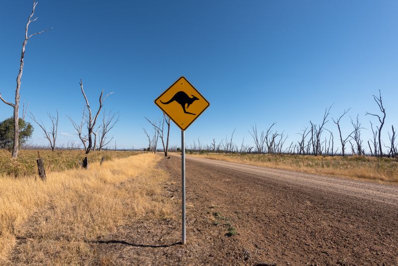 Kangaroo crossing sign on a remote outback road in Australia