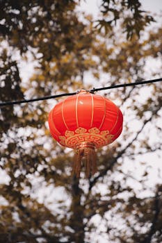 A vibrant red Chinese lantern hanging outdoors against a blurred tree background, symbolizing festivity.