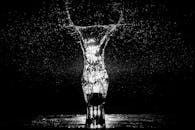 这是一张迷人的黑白长曝光照片，捕捉了玻璃杯上的水花